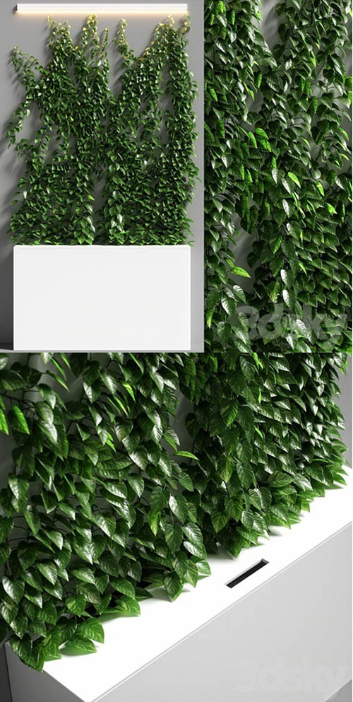 vertical garden 08