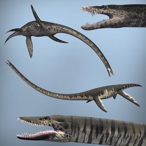 ElasmosaurusDR-StyxosaurusDR