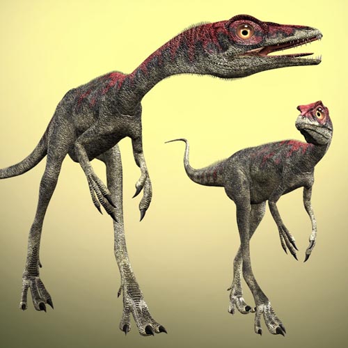 CompsognathusDR