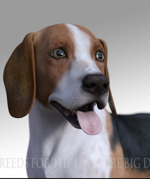 Breeds for the HW Dog - Beagle