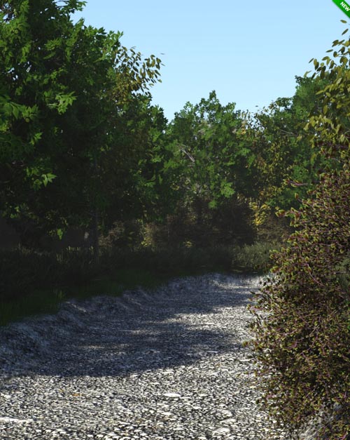 Path Through the Woods