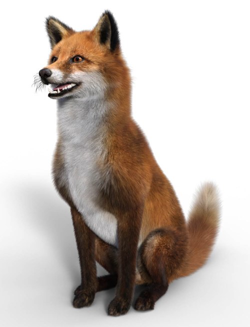 Fox for Dog Nubis