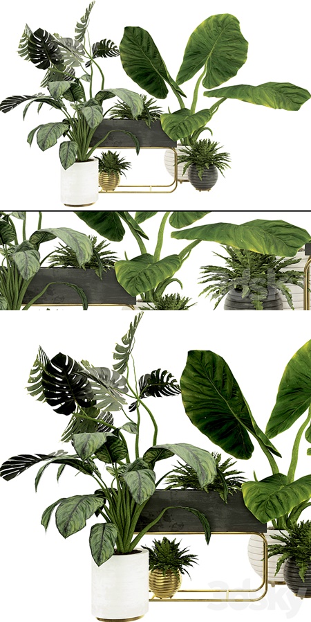 Plant Collection Set 07