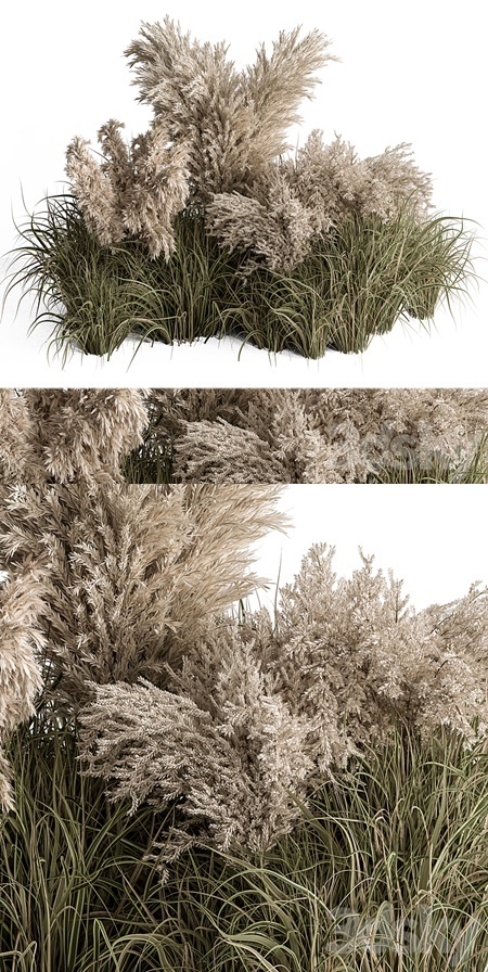 Mixed Pampas Plant Bush Set 95