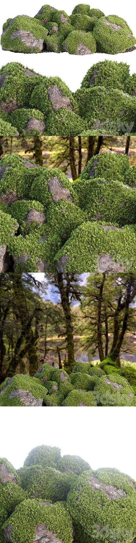 Mossy rock garden collection vol 140