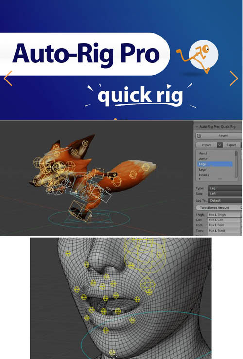 Auto-Rig Pro: Quick Rig