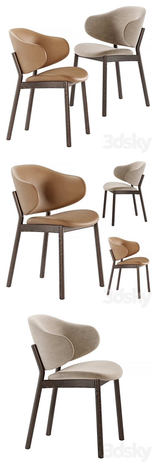 Holly chairs by Calligaris