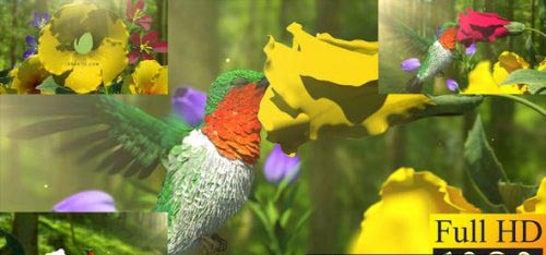 Videohive - Nature Flowers and Birds - 39146976