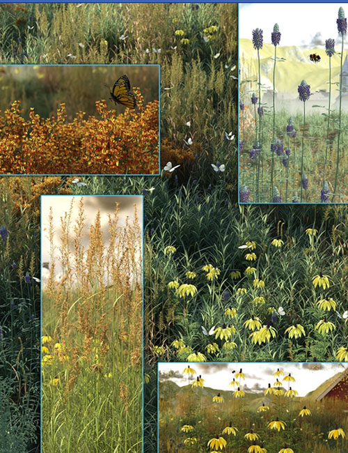 Prairie Grass and Flower Plant Collection