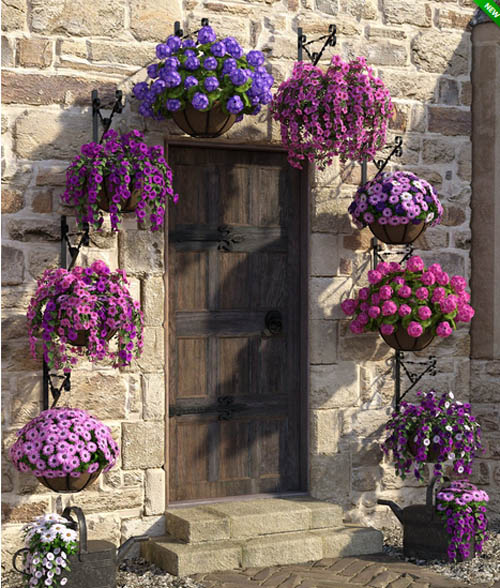 Hanging Baskets