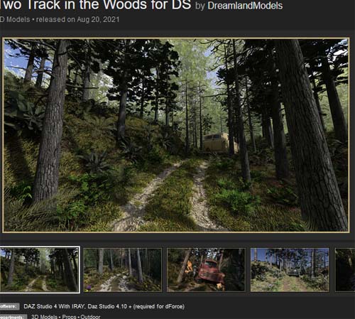 Two Track in the Woods for DS