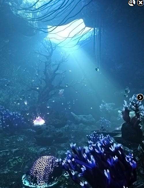 XI Underwater Cave