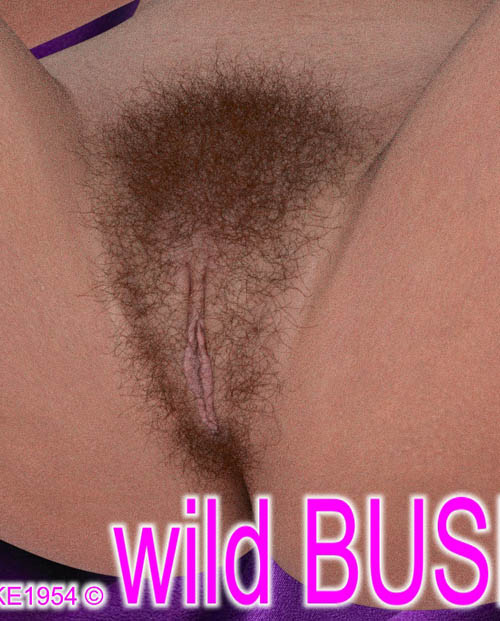 wild BUSH