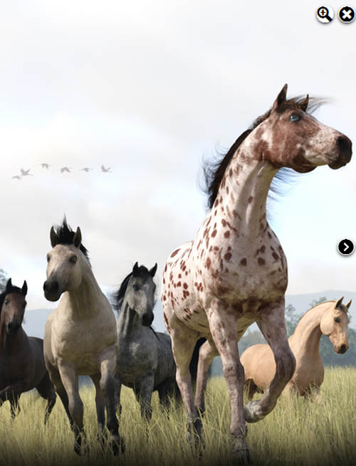 The DA Daz Horse 3 Pro Material Set