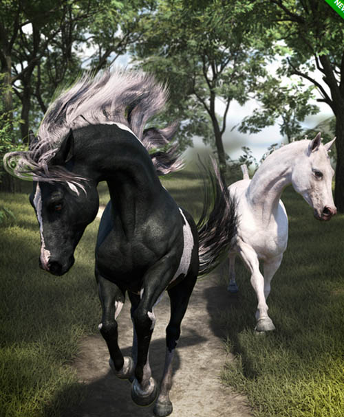 Horse Hair Basic Materials Addon for the Daz Horse 3