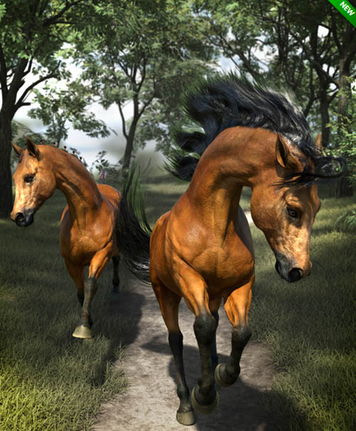 dForce Horse Hair for the Daz Horse 3