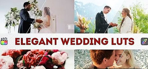 Videohive - Elegant Wedding LUTs 49623430