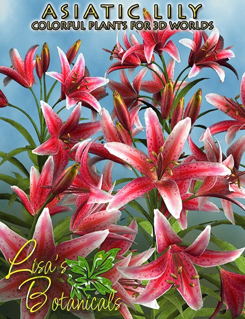 Lisa's Botanicals - Asiatic Lily
