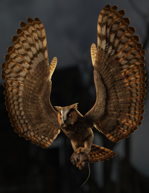 DS Fantasy Owl Species