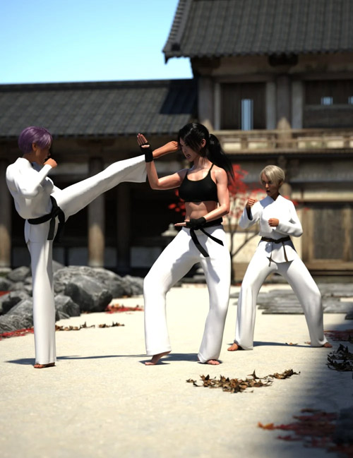 Kyokushin Karate Pose Pack for Genesis 8
