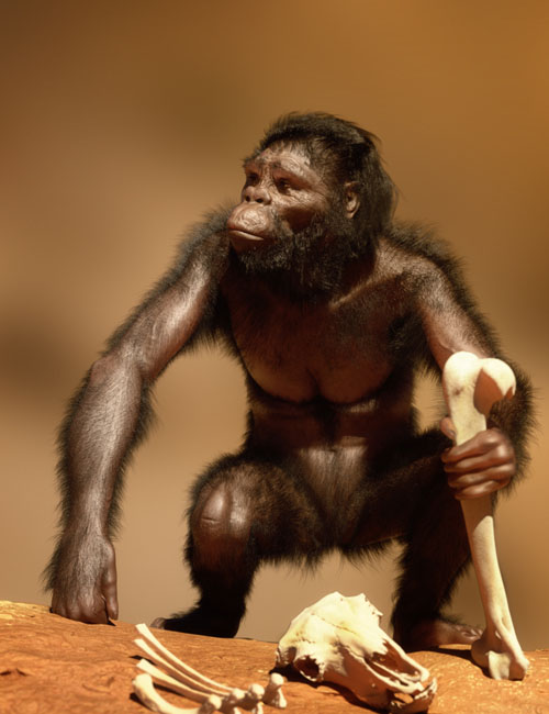 Australopithecus for Genesis 9