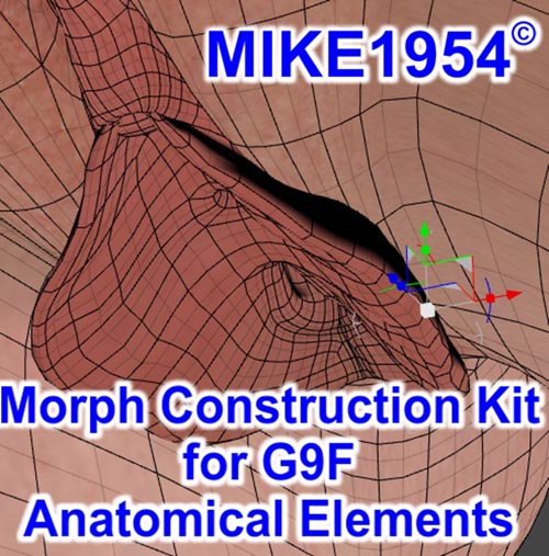Morph Construction Kit for G9F Anatomical Elements