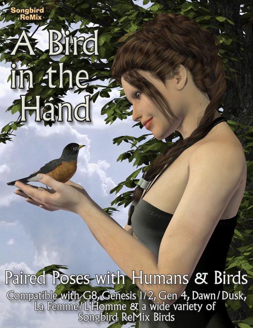 Songbird ReMix A Bird in the Hand