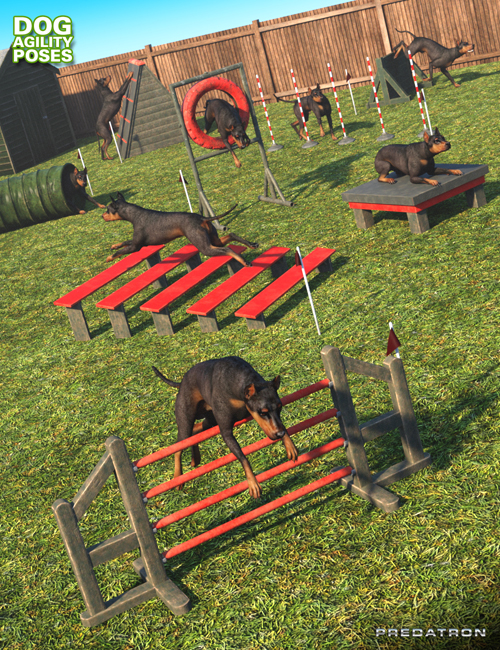 Dog Agility Course Poses