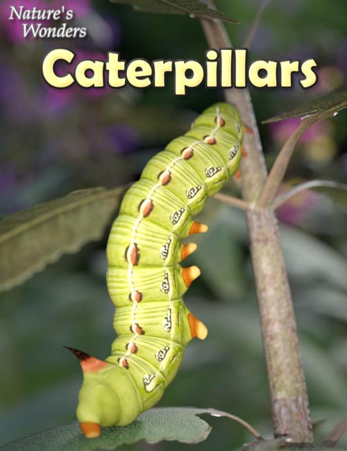 Nature's Wonders Caterpillars