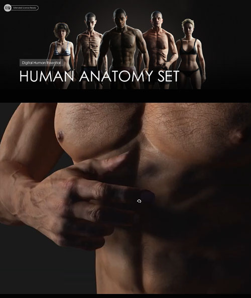 Human Anatomy Bundle (3 in 1)for I clone