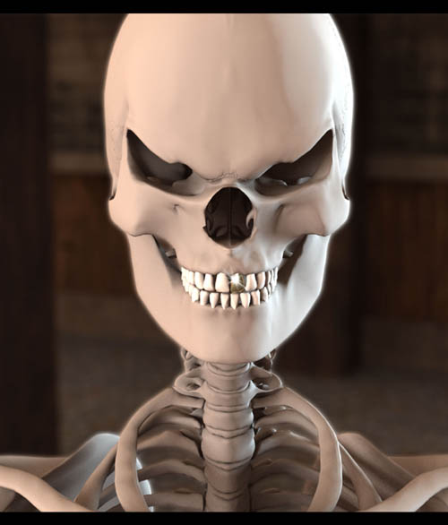 Skeleton for Genesis 8 Male