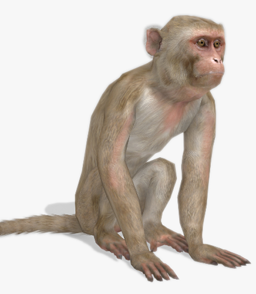 Macaque for Unreal Engine