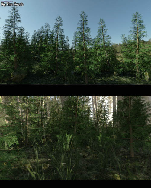 Modular 3D Kits: Big Pine Forests