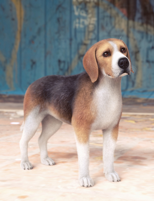 Beagle for Daz Dog 8