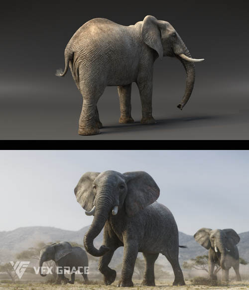 3D Model | African Elephant Animated | VFX Grace