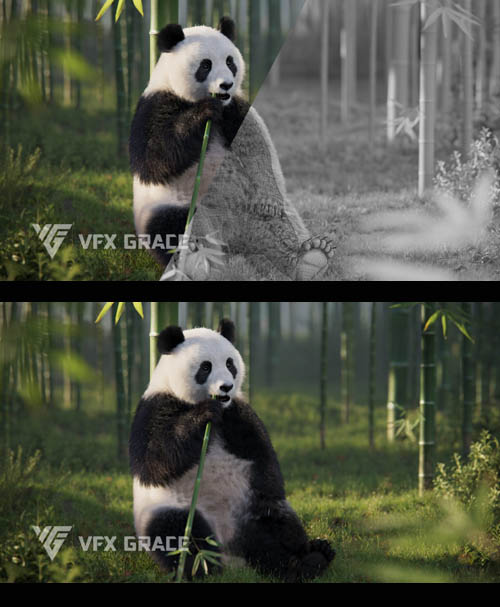 Panda Animation | VFX Grace