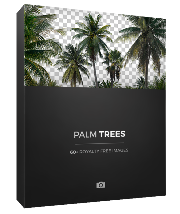 Photobash Palm Trees PNG