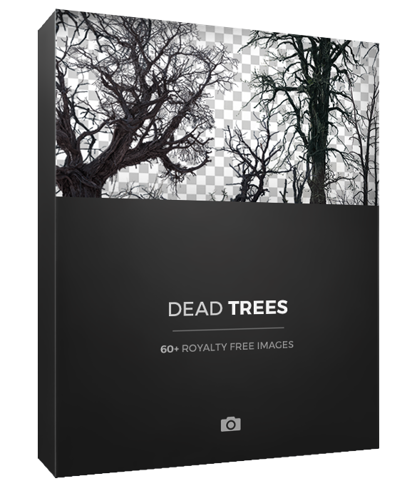 Photobash Dead Trees PNG