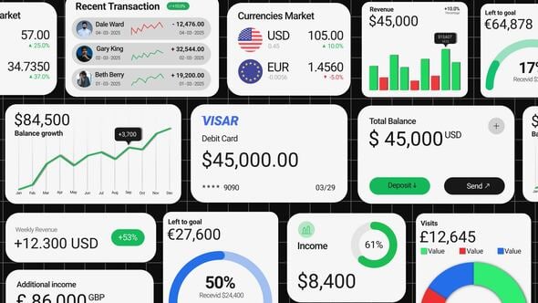 Accounts & Finances UI Pack 57132633 Videohive