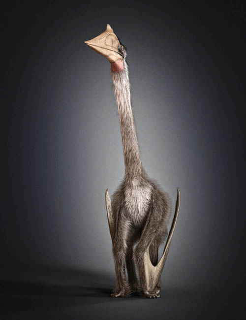 Quetzalcoatlus by AM