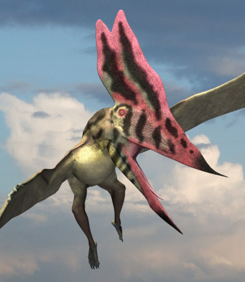 ThalassodromeusDR