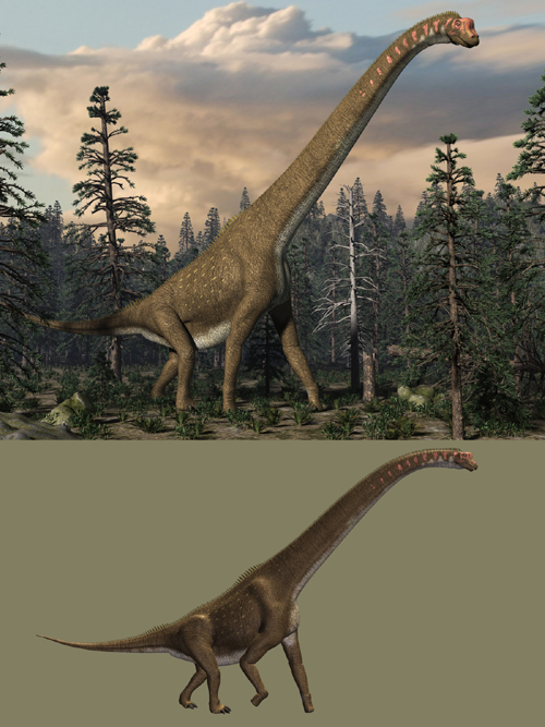 Giraffatitan DR