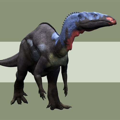 CamptosaurusDR