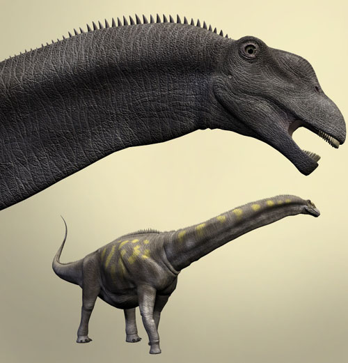 ArgentinosaurusDR