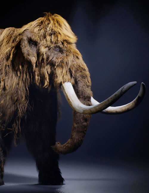 Mammoth 2 by AM