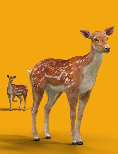 Deer for Daz Horse 3