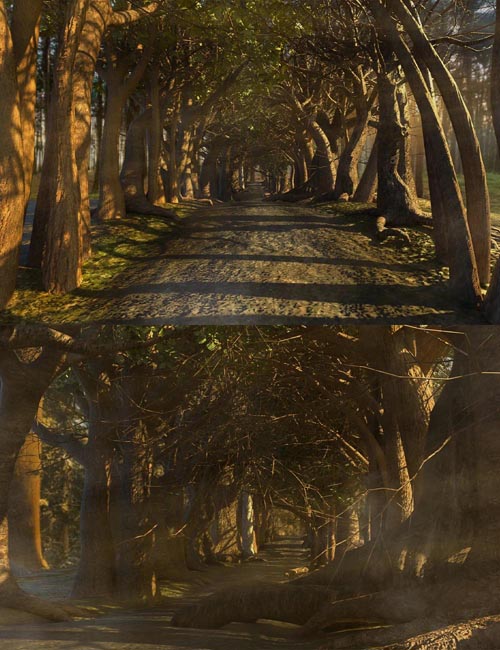 The Wandering Way
