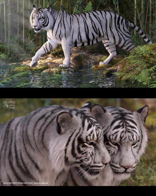 CWRW White Tigers