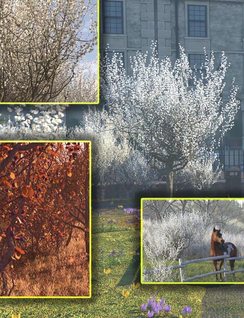 Hedgerow Kit 4 - Blackthorn Flowers and Fruits