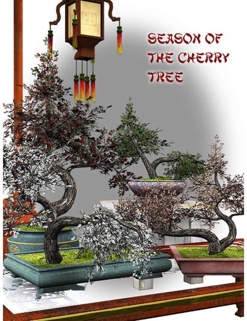 Season of the Cherry Tree